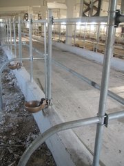 Монтаж поїлок та систем водозабезпечення корівника