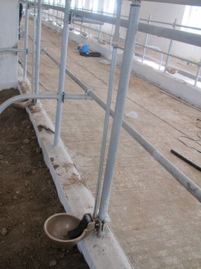 Монтаж поїлок та систем водозабезпечення корівника